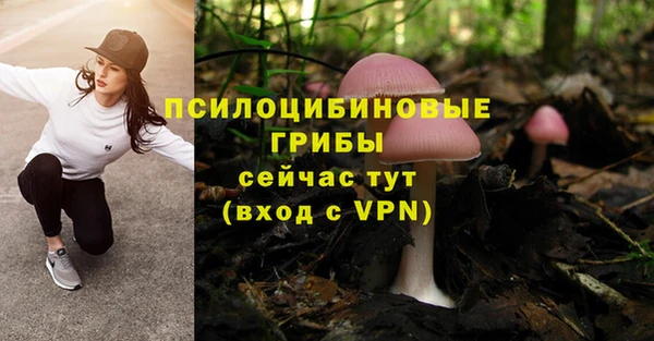 гидропоника Баксан