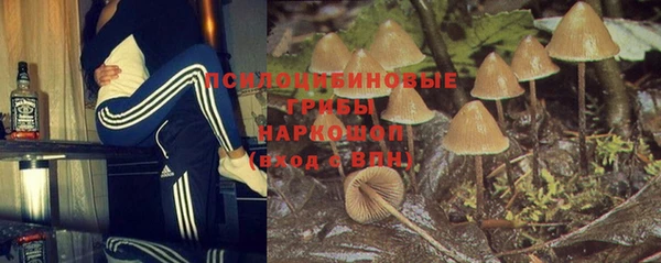 крисы Балахна